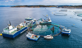 Offshore Salmonfishfarminfjord Norwaybergen
